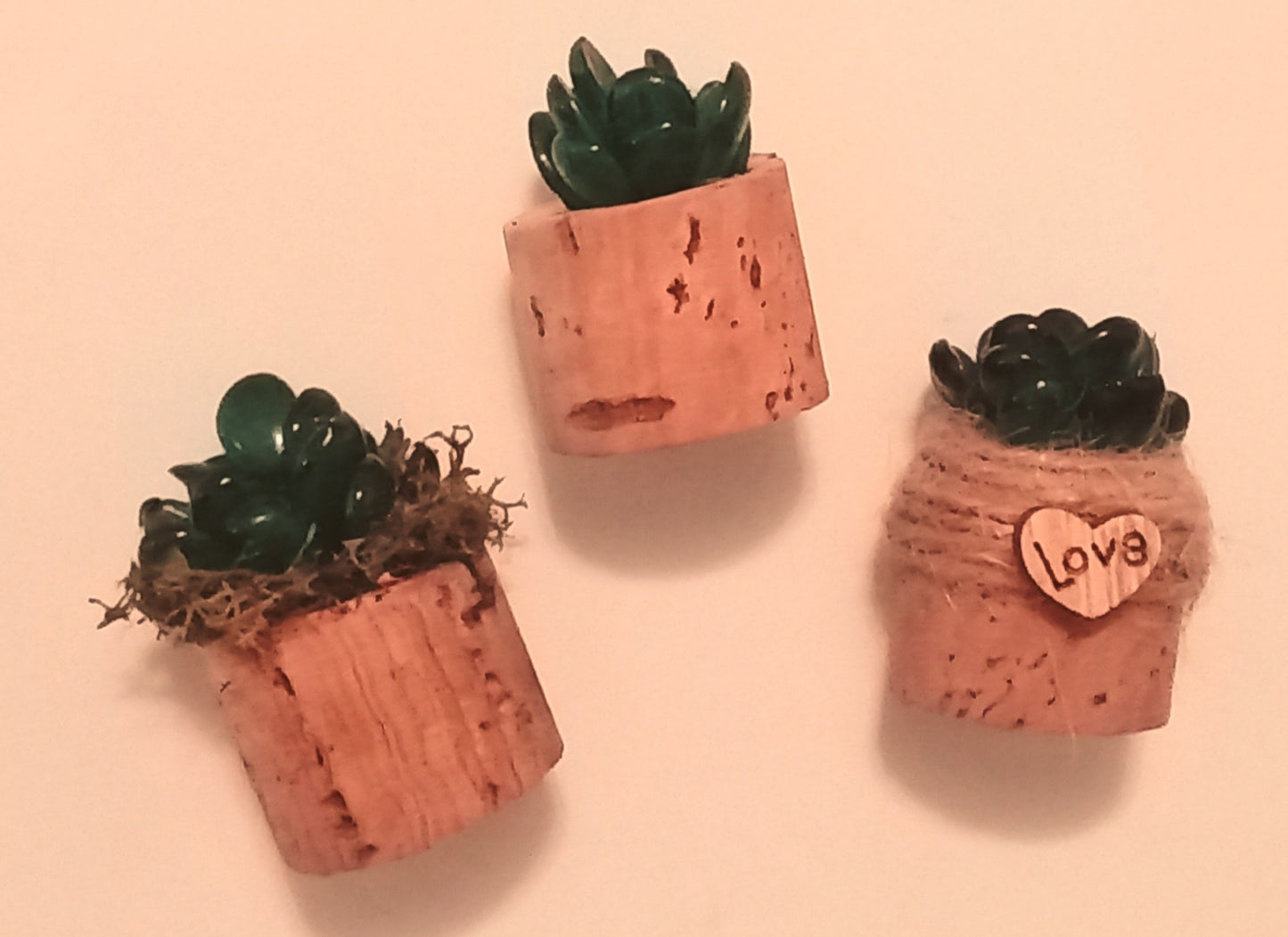 Mini faux cork succulent magnets