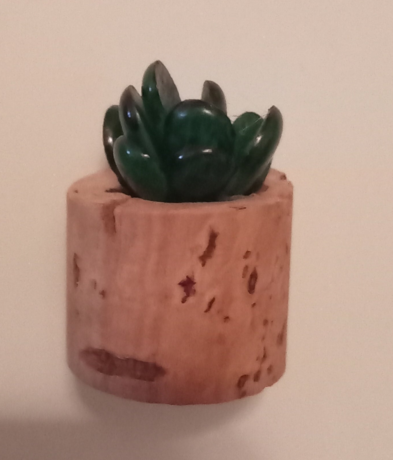 Mini faux cork succulent magnets