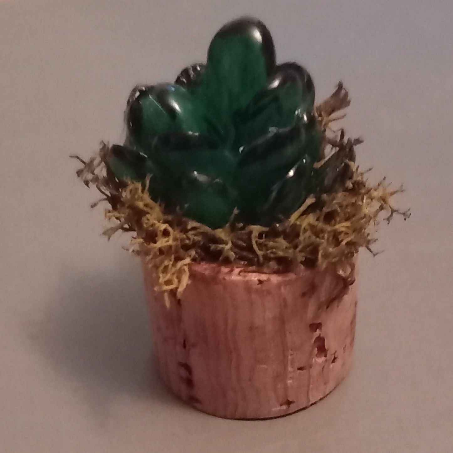 Mini faux cork succulent magnets